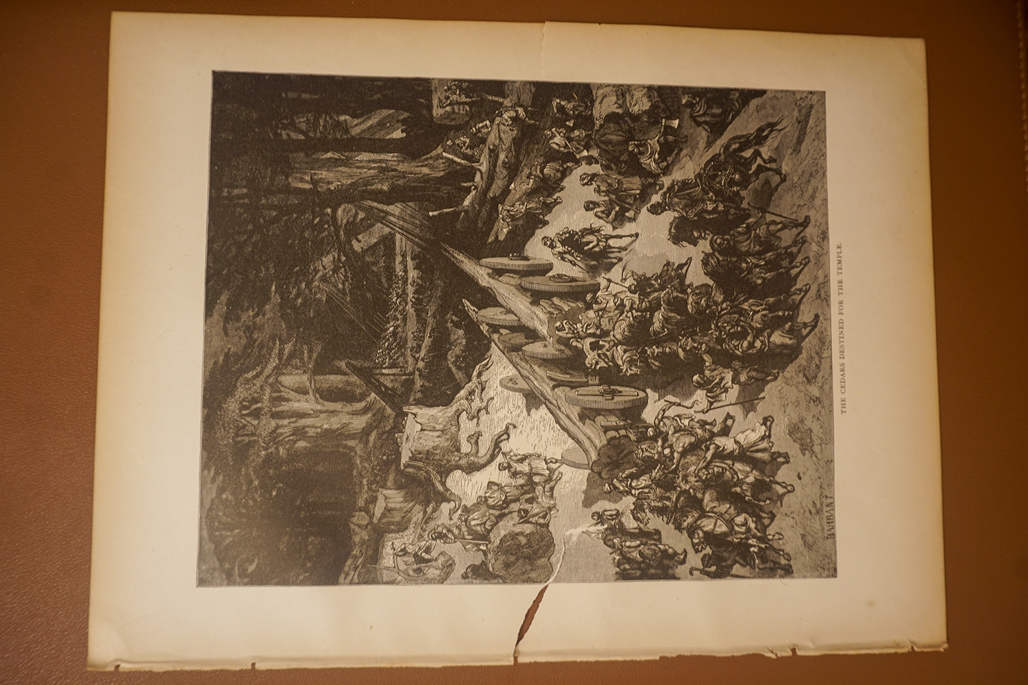 The Cedars Destined for the Temple, complete original page showing paper edges and condition